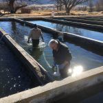 Discover the Best Fish Farm Utah @ Coveriverranch.com